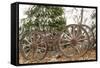 Wagon in Winter-Amanda Lee Smith-Framed Stretched Canvas