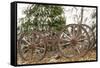 Wagon in Winter-Amanda Lee Smith-Framed Stretched Canvas