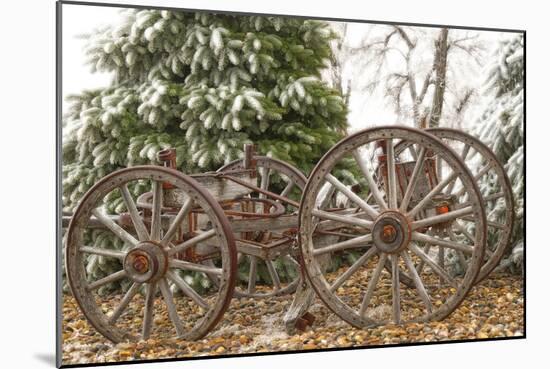 Wagon in Winter-Amanda Lee Smith-Mounted Photographic Print