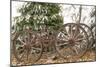 Wagon in Winter-Amanda Lee Smith-Mounted Photographic Print