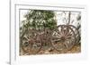 Wagon in Winter-Amanda Lee Smith-Framed Photographic Print