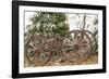 Wagon in Winter-Amanda Lee Smith-Framed Photographic Print