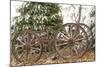 Wagon in Winter-Amanda Lee Smith-Mounted Photographic Print