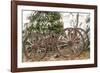 Wagon in Winter-Amanda Lee Smith-Framed Photographic Print