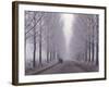 Wagon on Misty and Icy Road, Suceava County, Romania-Gavriel Jecan-Framed Photographic Print