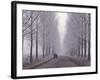 Wagon on Misty and Icy Road, Suceava County, Romania-Gavriel Jecan-Framed Photographic Print