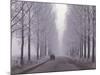 Wagon on Misty and Icy Road, Suceava County, Romania-Gavriel Jecan-Mounted Photographic Print