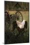 Wagon Pony-Steve Hunziker-Mounted Art Print