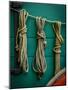 Wagon Ropes-Mr Doomits-Mounted Photographic Print