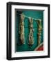 Wagon Ropes-Mr Doomits-Framed Photographic Print