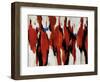 Wagon Trail-Sydney Edmunds-Framed Giclee Print