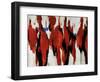 Wagon Trail-Sydney Edmunds-Framed Giclee Print