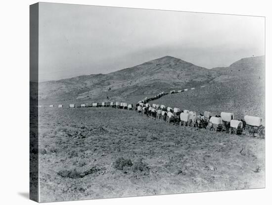 Wagon Train - Oregon Trail Wagon Train Reenactment, 1935-Ashael Curtis-Stretched Canvas