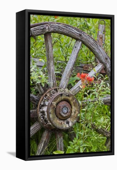 Wagon Wheel in Old Gold Town Barkersville, British Columbia, Canada-Michael DeFreitas-Framed Stretched Canvas