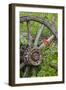 Wagon Wheel in Old Gold Town Barkersville, British Columbia, Canada-Michael DeFreitas-Framed Photographic Print