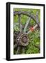 Wagon Wheel in Old Gold Town Barkersville, British Columbia, Canada-Michael DeFreitas-Framed Photographic Print