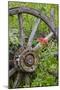 Wagon Wheel in Old Gold Town Barkersville, British Columbia, Canada-Michael DeFreitas-Mounted Photographic Print