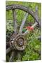 Wagon Wheel in Old Gold Town Barkersville, British Columbia, Canada-Michael DeFreitas-Mounted Photographic Print