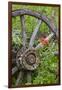 Wagon Wheel in Old Gold Town Barkersville, British Columbia, Canada-Michael DeFreitas-Framed Photographic Print