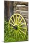 Wagon Wheel in Old Gold Town Barkersville, British Columbia, Canada-Michael DeFreitas-Mounted Premium Photographic Print