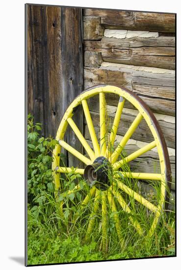 Wagon Wheel in Old Gold Town Barkersville, British Columbia, Canada-Michael DeFreitas-Mounted Photographic Print