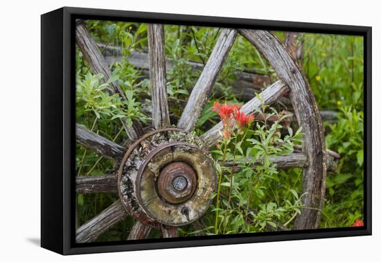 Wagon Wheel in Old Gold Town Barkersville, British Columbia, Canada-Michael DeFreitas-Framed Stretched Canvas