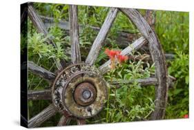 Wagon Wheel in Old Gold Town Barkersville, British Columbia, Canada-Michael DeFreitas-Stretched Canvas