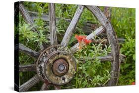 Wagon Wheel in Old Gold Town Barkersville, British Columbia, Canada-Michael DeFreitas-Stretched Canvas