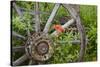 Wagon Wheel in Old Gold Town Barkersville, British Columbia, Canada-Michael DeFreitas-Stretched Canvas