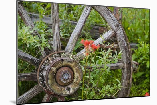 Wagon Wheel in Old Gold Town Barkersville, British Columbia, Canada-Michael DeFreitas-Mounted Photographic Print