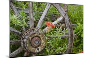 Wagon Wheel in Old Gold Town Barkersville, British Columbia, Canada-Michael DeFreitas-Mounted Photographic Print