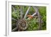 Wagon Wheel in Old Gold Town Barkersville, British Columbia, Canada-Michael DeFreitas-Framed Photographic Print