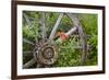 Wagon Wheel in Old Gold Town Barkersville, British Columbia, Canada-Michael DeFreitas-Framed Photographic Print