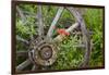 Wagon Wheel in Old Gold Town Barkersville, British Columbia, Canada-Michael DeFreitas-Framed Photographic Print