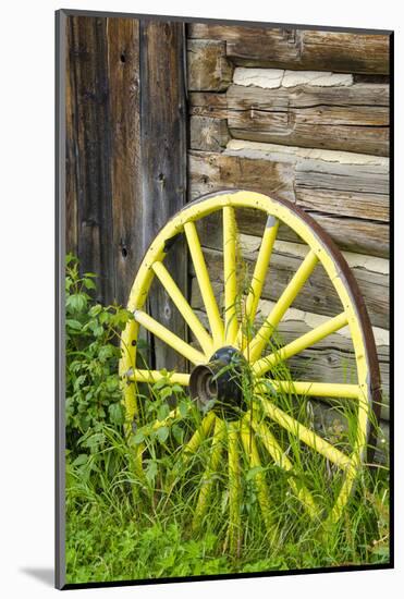 Wagon Wheel in Old Gold Town Barkersville, British Columbia, Canada-Michael DeFreitas-Mounted Photographic Print