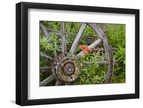 Wagon Wheel in Old Gold Town Barkersville, British Columbia, Canada-Michael DeFreitas-Framed Photographic Print