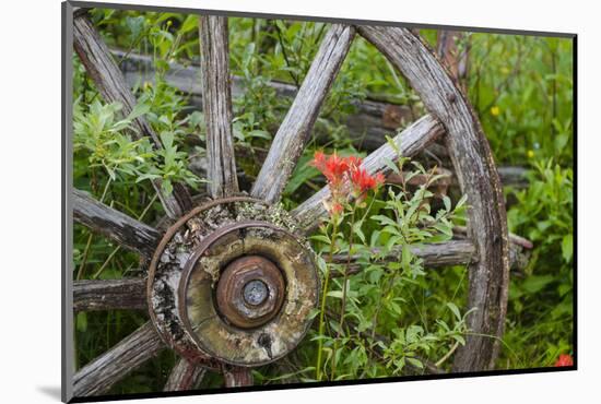 Wagon Wheel in Old Gold Town Barkersville, British Columbia, Canada-Michael DeFreitas-Mounted Photographic Print