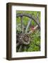 Wagon Wheel in Old Gold Town Barkersville, British Columbia, Canada-Michael DeFreitas-Framed Photographic Print