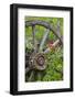 Wagon Wheel in Old Gold Town Barkersville, British Columbia, Canada-Michael DeFreitas-Framed Photographic Print