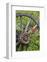 Wagon Wheel in Old Gold Town Barkersville, British Columbia, Canada-Michael DeFreitas-Framed Photographic Print