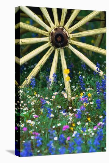 Wagon Wheel Sitting Among Wildflowers-Darrell Gulin-Stretched Canvas