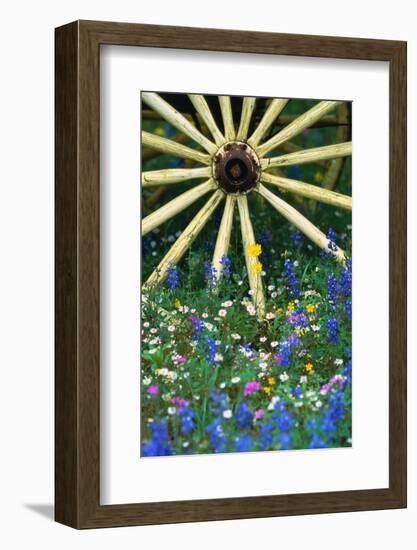 Wagon Wheel Sitting Among Wildflowers-Darrell Gulin-Framed Photographic Print