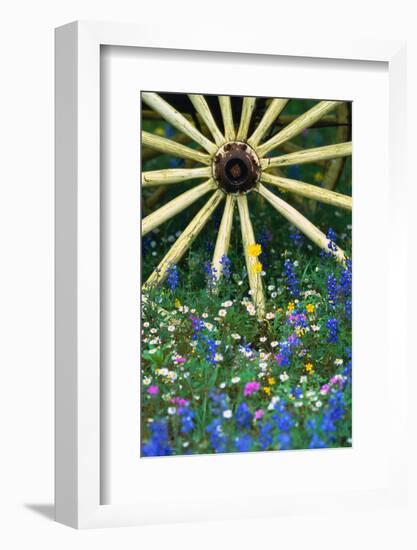 Wagon Wheel Sitting Among Wildflowers-Darrell Gulin-Framed Photographic Print