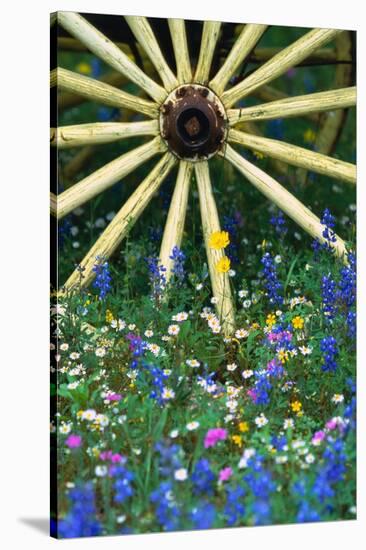 Wagon Wheel Sitting Among Wildflowers-Darrell Gulin-Stretched Canvas