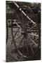 Wagon Wheel-Amanda Lee Smith-Mounted Photographic Print