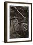 Wagon Wheel-Amanda Lee Smith-Framed Photographic Print