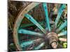 Wagon Wheels in Colorful Blues, Turkey-Darrell Gulin-Mounted Photographic Print