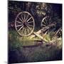 Wagon Wheels-Lance Kuehne-Mounted Premium Photographic Print