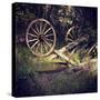 Wagon Wheels-Lance Kuehne-Stretched Canvas