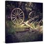 Wagon Wheels-Lance Kuehne-Stretched Canvas